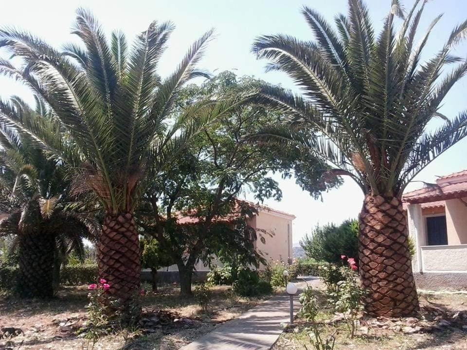 Oasis Studios Σκάλα Καλλονής Εξωτερικό φωτογραφία