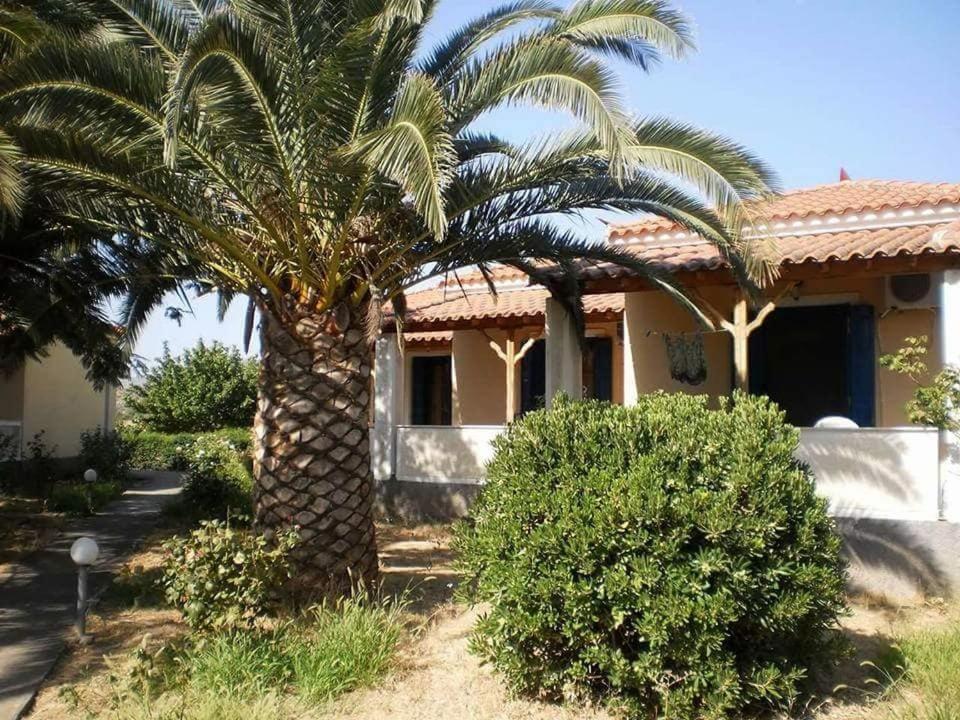 Oasis Studios Σκάλα Καλλονής Εξωτερικό φωτογραφία