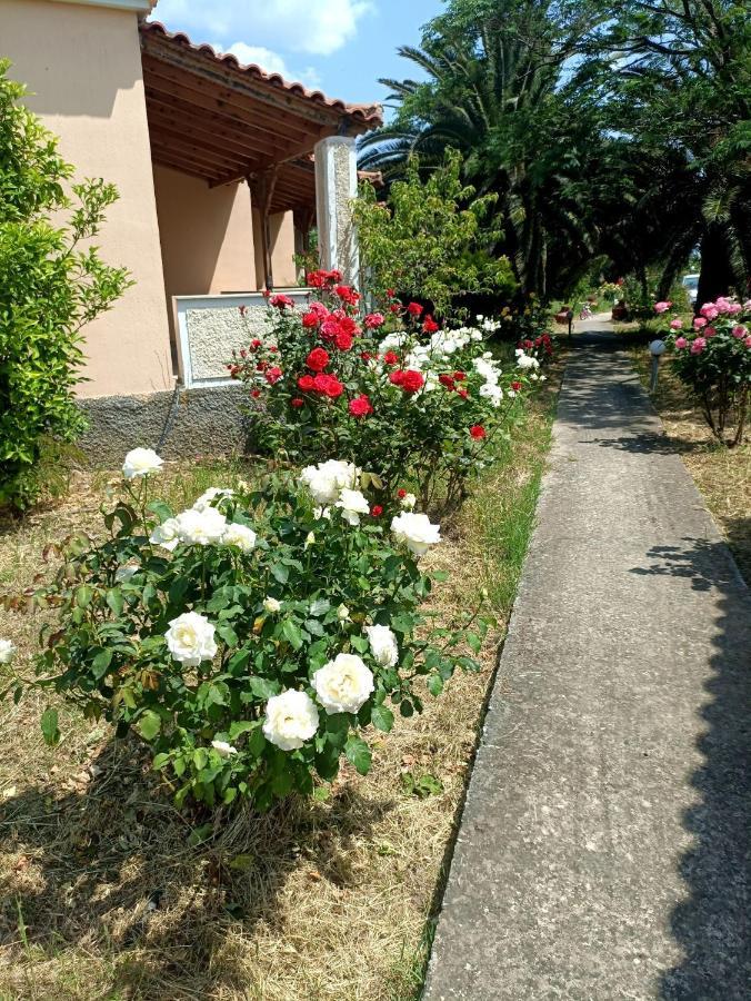 Oasis Studios Σκάλα Καλλονής Εξωτερικό φωτογραφία