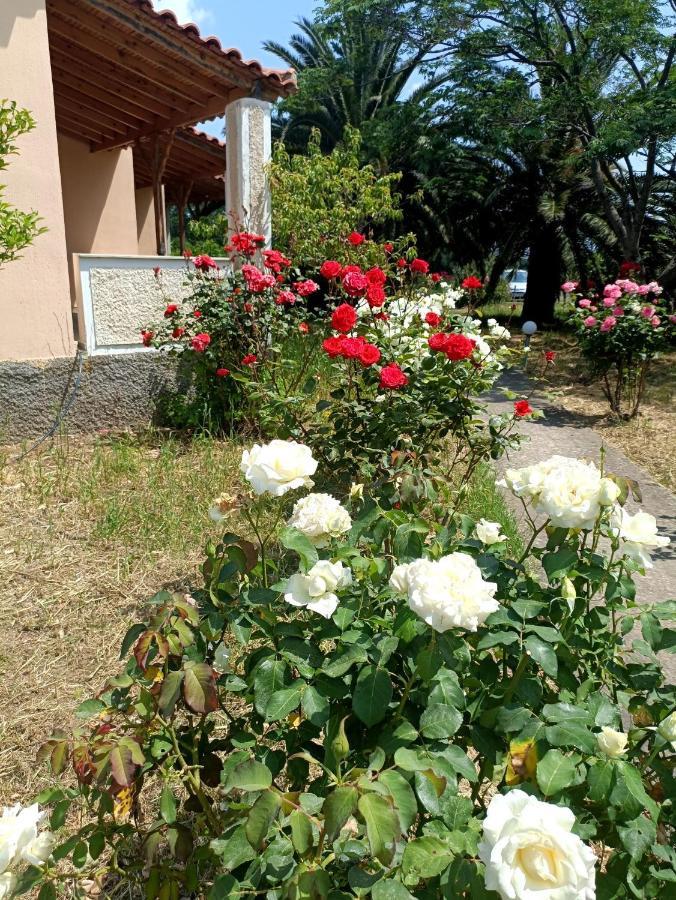 Oasis Studios Σκάλα Καλλονής Εξωτερικό φωτογραφία